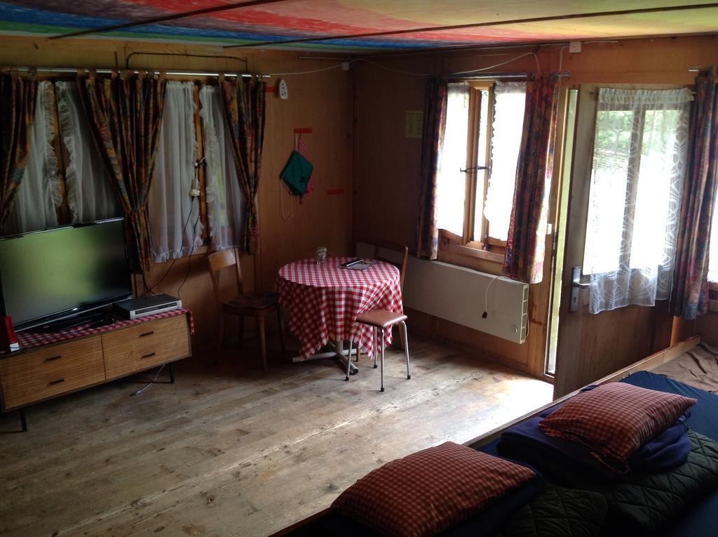 Panorama Hotel Wagenkehr Innertkirchen Kamer foto